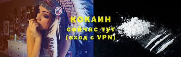 ешки Арсеньев