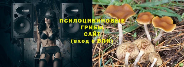 крисы Аркадак
