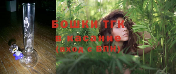 ешки Арсеньев