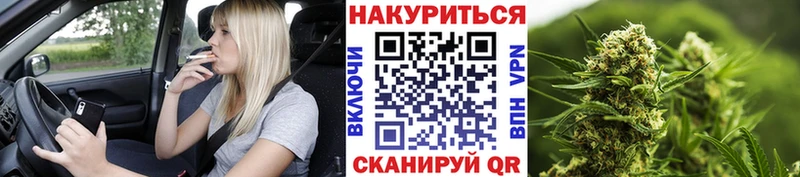 Бошки Шишки SATIVA & INDICA  купить наркотик  Рудня 